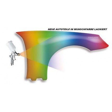 Skoda Fabia 1999-2007 Kotflügel Wunschfarbe Lackiert vorn Rechts/Links